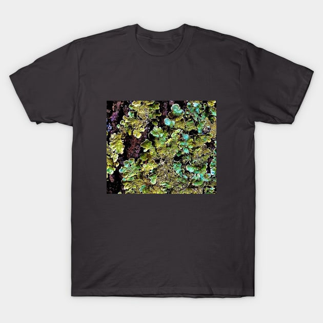 Lichen textures T-Shirt by Dillyzip1202